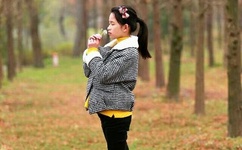 2019最新国产理论